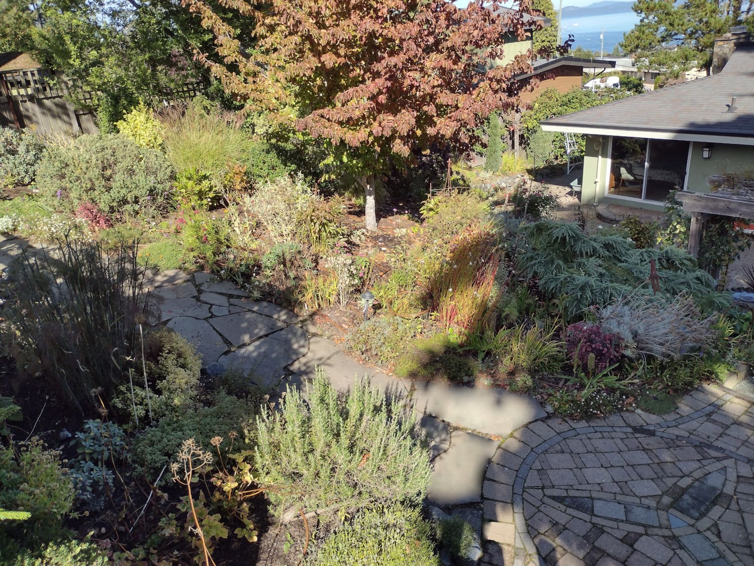 beautiful-mature-garden